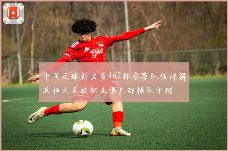 中国足球新力量462杯参赛队伍详解及恒大足校职业俱乐部梯队介绍