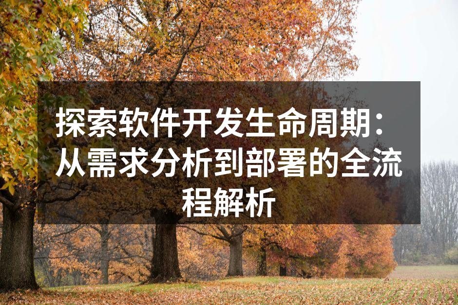 探索软件开发生命周期:从需求分析到部署的